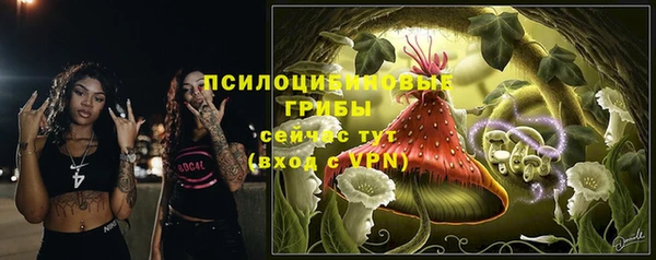 дживик Белоозёрский