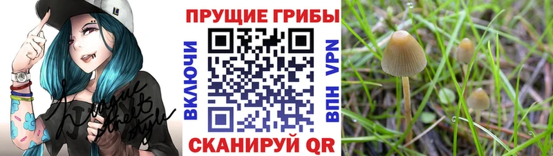 МЕГА вход  продажа наркотиков  Когалым  Псилоцибиновые грибы Magic Shrooms 